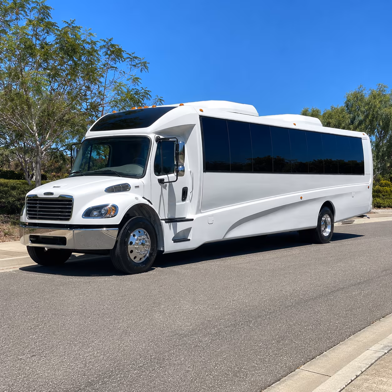 surprise 15 passenger minibus