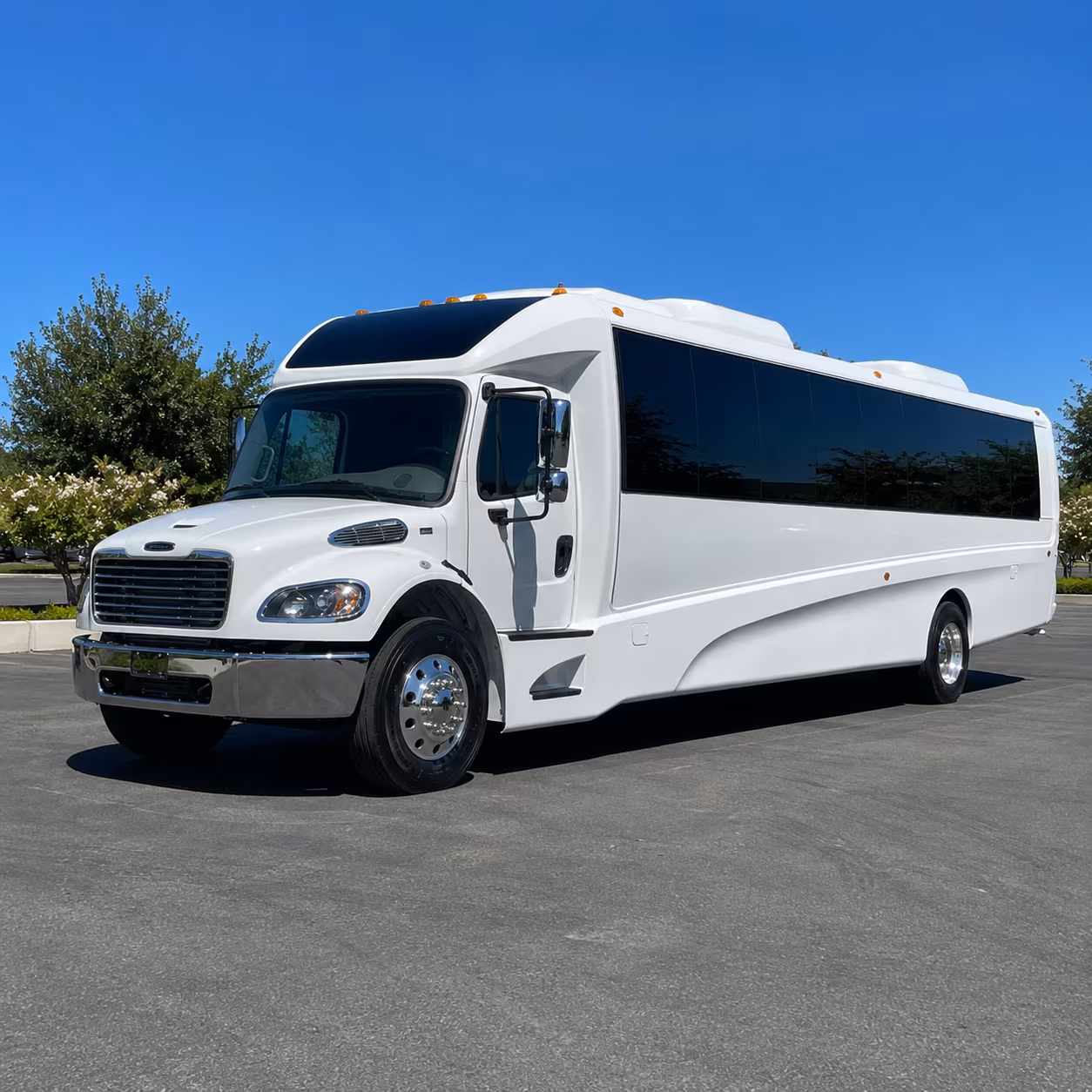 surprise 28 passenger minibus