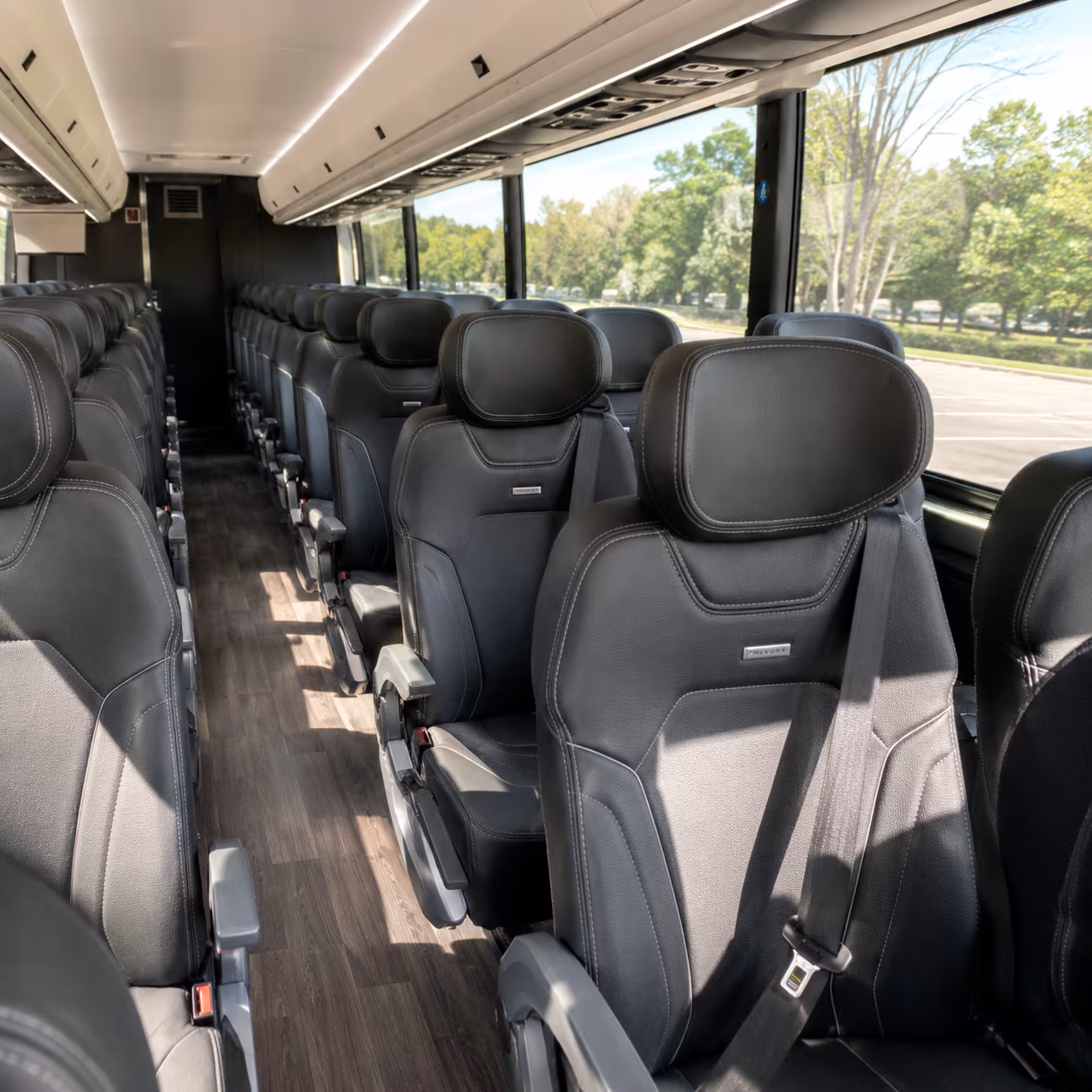 surprise 56 passenger charter bus inside