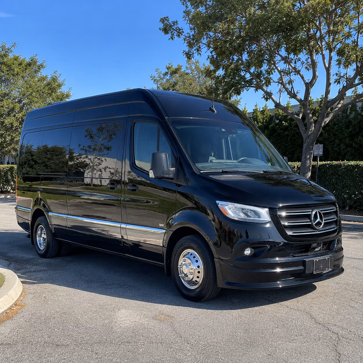 surprise sprinter limousine